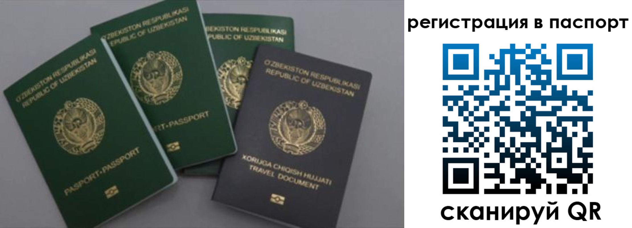прописка от собственника в Палласовке