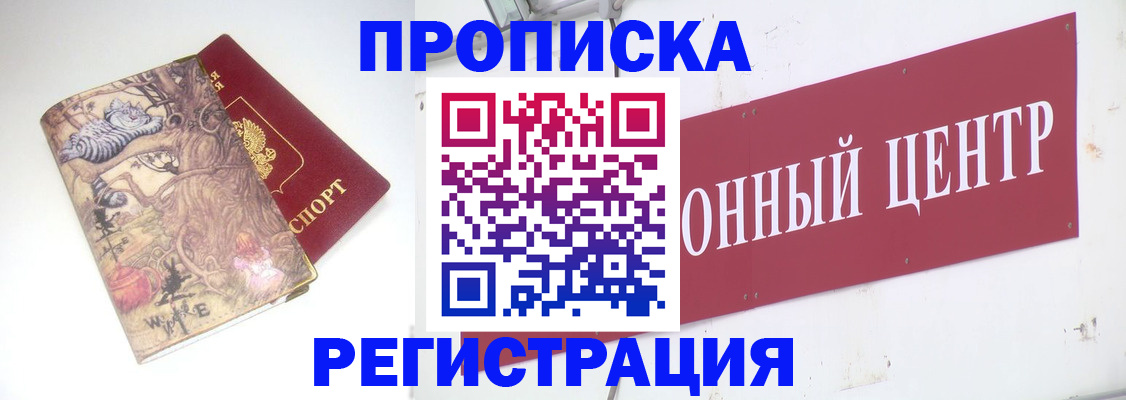 временная регистрация гарантия в Палласовке